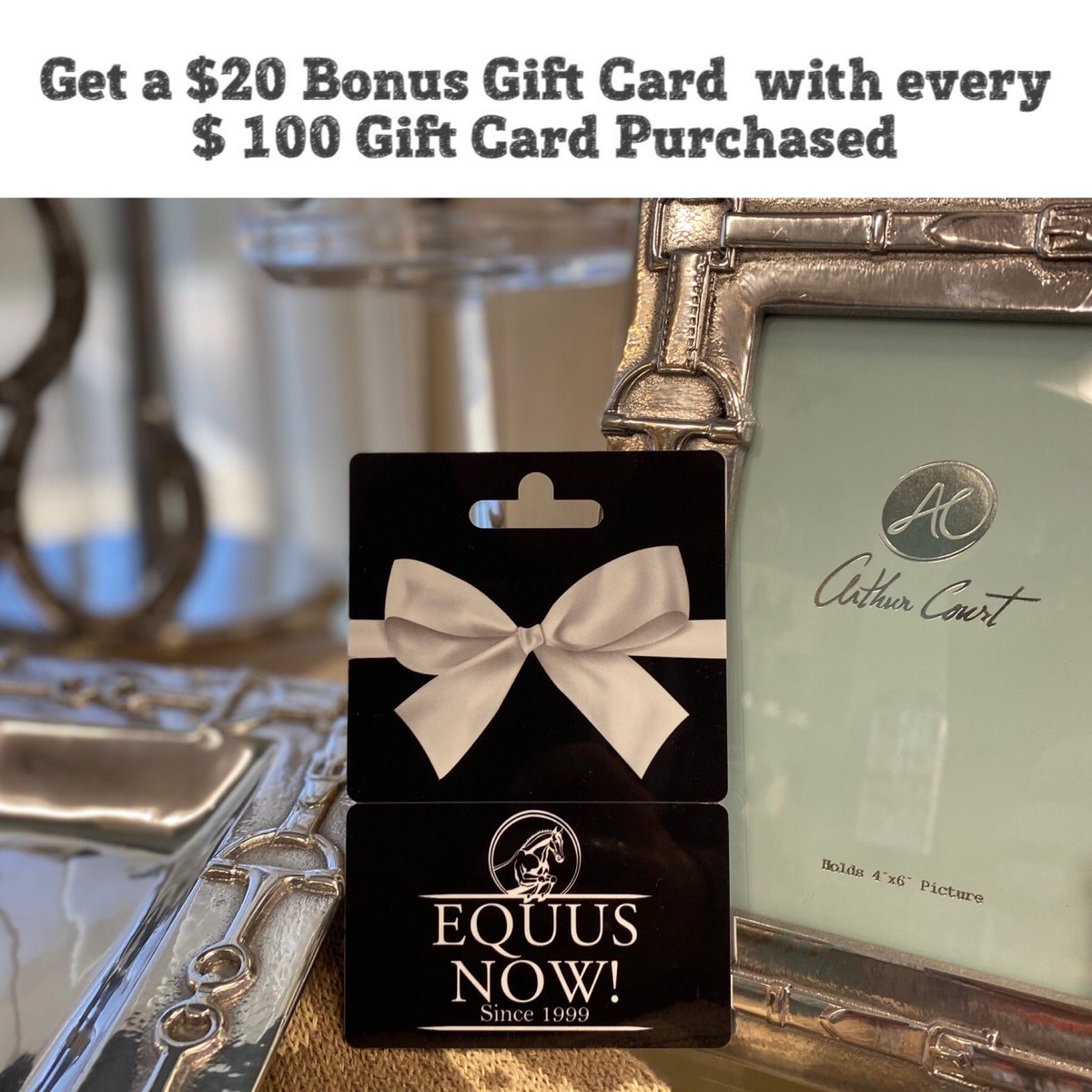 EquusNow's tweet photo. $20 Bonus Gift Card Promo is back! https://t.co/3Mn3Y08XcC