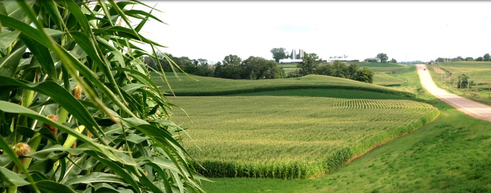 Minnesota Farmers Union tweet media