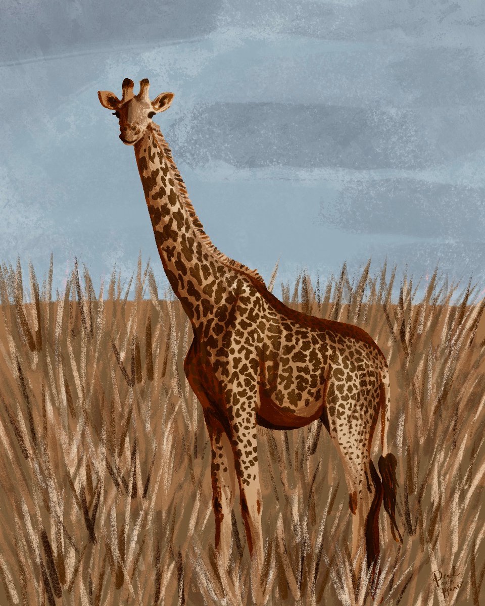 peachonaplane's tweet photo. @mopage19 Animal illustrations thanks to a fun Skillshare class! https://t.co/bUv9wQ19hP