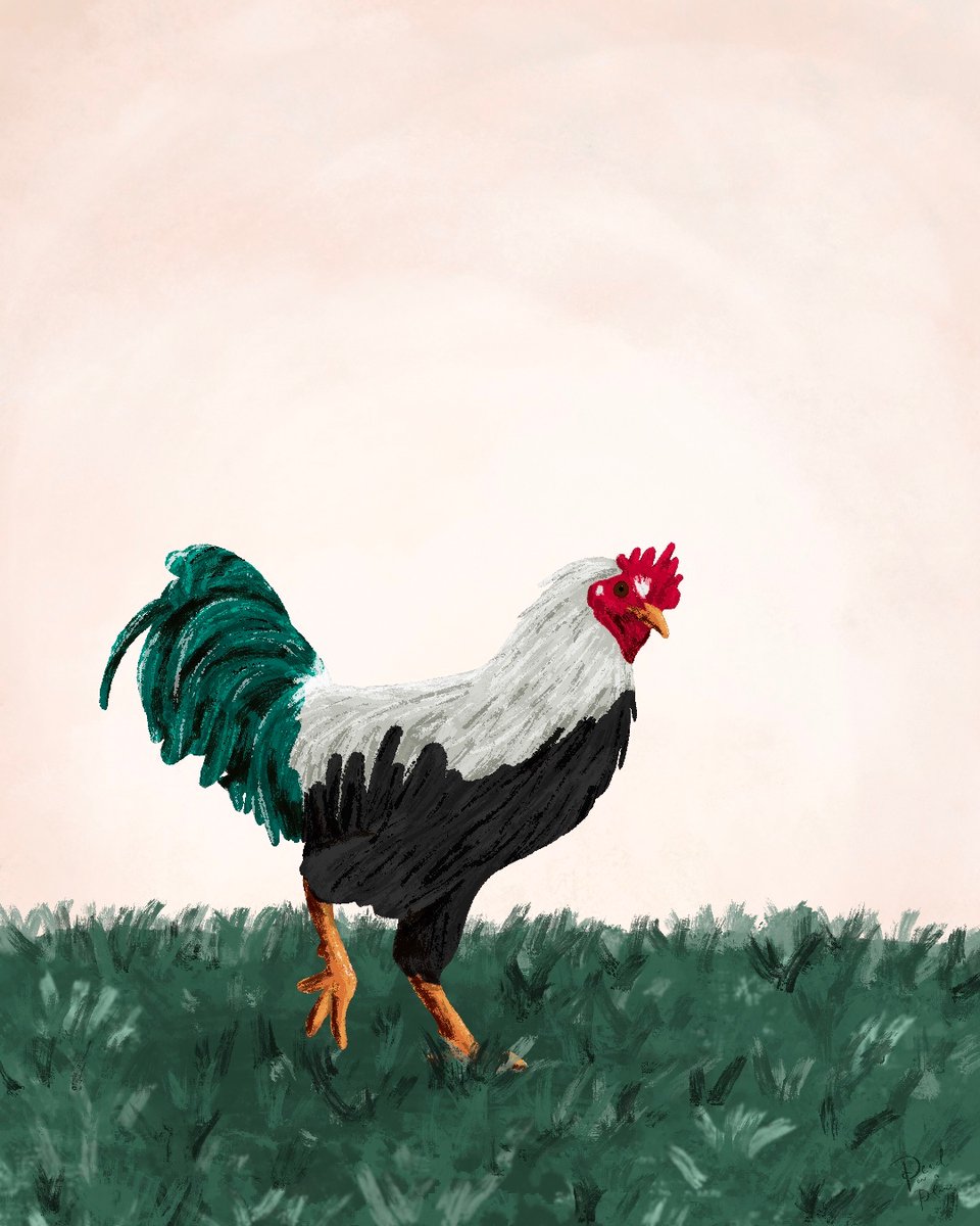 peachonaplane's tweet photo. @mopage19 Animal illustrations thanks to a fun Skillshare class! https://t.co/bUv9wQ19hP