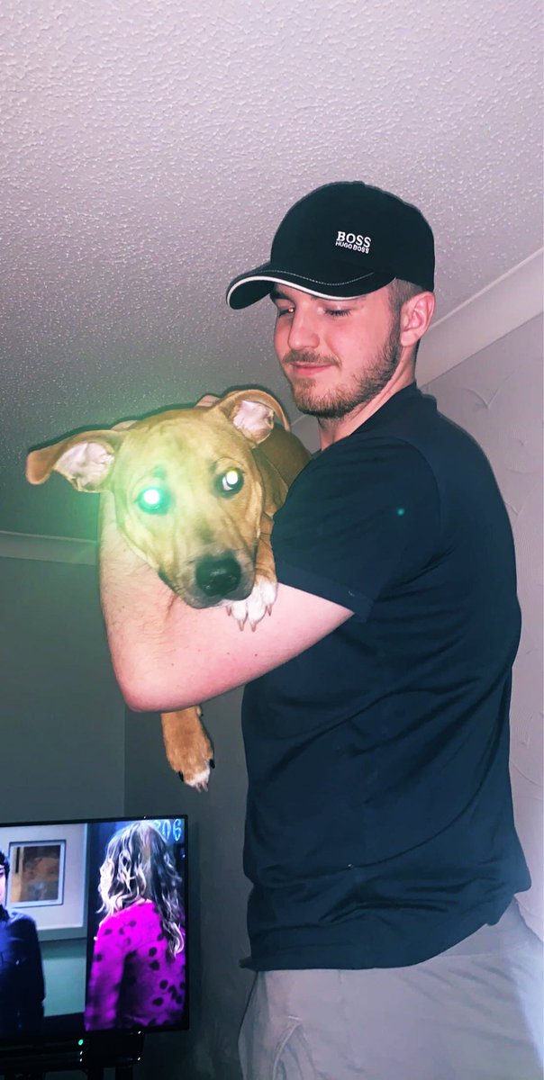 GodBuzza's tweet photo. Big up the pup https://t.co/h9TmubZjcn
