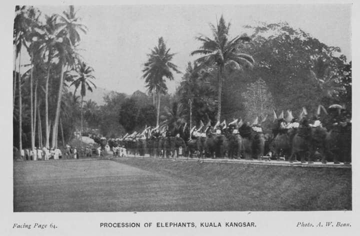 Bila tradisi hilang ditelan zaman, generations of wisdom wasted. Antara ilmu orang Melayu yang hilang ditelan zaman. Ilmu penunduk gajah.