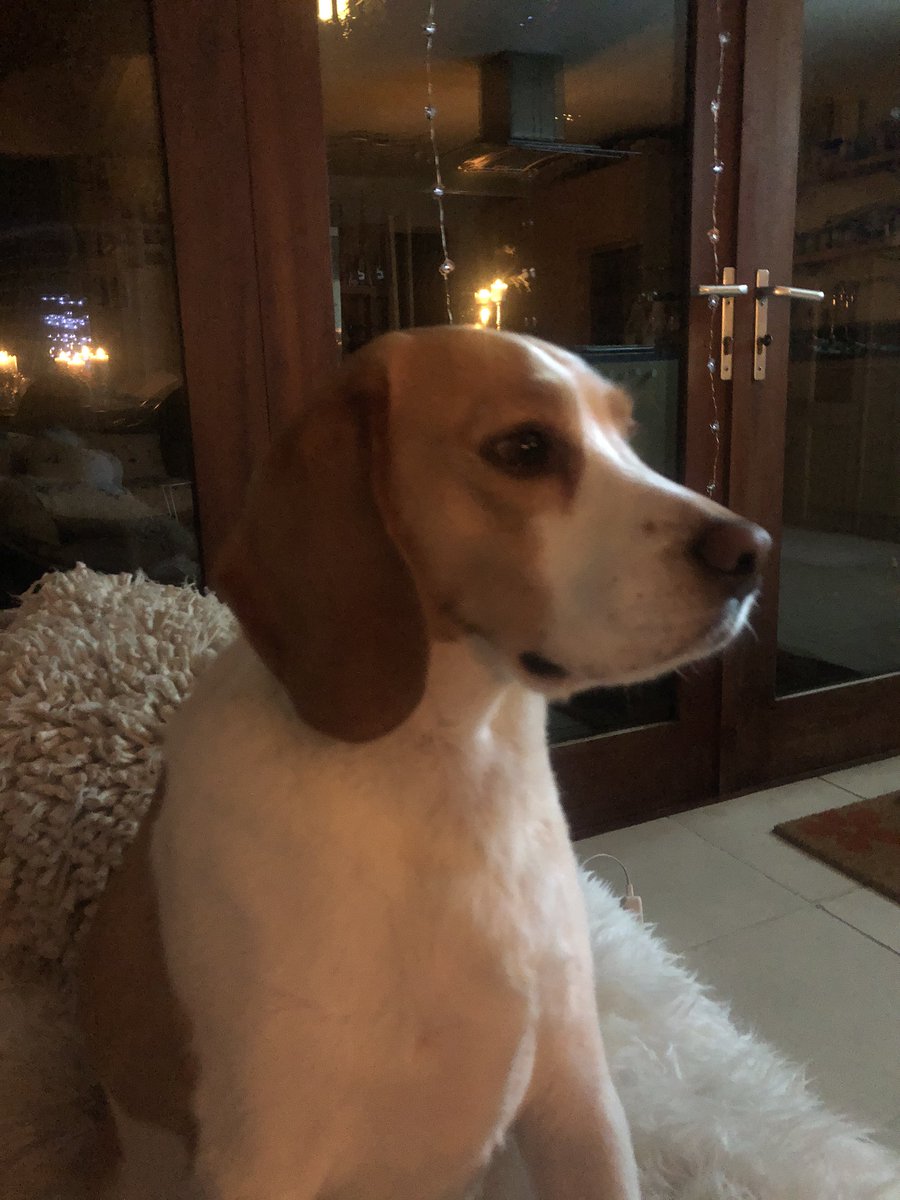 Listened #ClapForCarers 
Thank you humdoctors, humbinmen, humdeliverymen, humessentielmen, humpostmen, humbusdrivers, humtruckdrivers, humtraindrivers, humsupermarketmen but mainly hummommiesanddads❤️