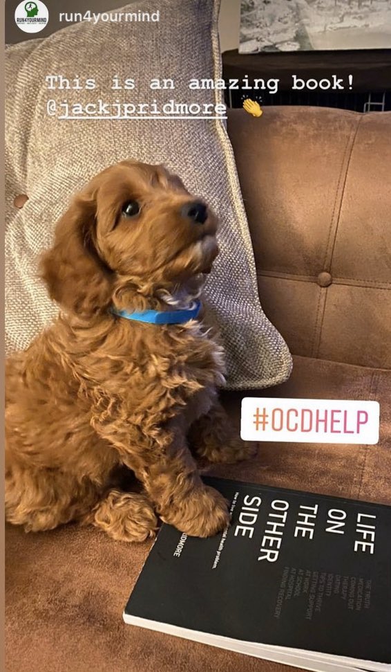 jackjpridmore's tweet photo. Right, that’s it. There can be zero better pictures of my book in the wild. Thanks @Run4YourMind (and Bertie).

Book is currently available for free as an eBook! @AppleBooks / @kobo 

Also available in paperback. See website in my bio for details 🤙 https://t.co/xbFAjnDu46