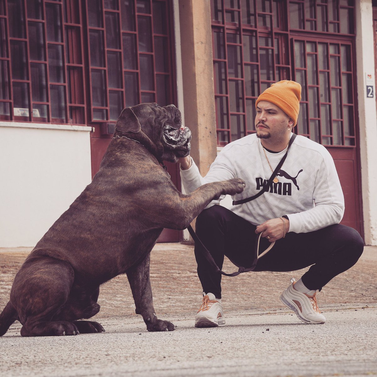 Tilhon_oficial's tweet photo. R/C lá na street era o nosso 7.º céu 
Mesmo com a gula dum pit tudo dividia o pitéu 
Para uns caiu-lhes o véu da street deram hála
Encostados à parede julgados pelo que trazíamos na mala
#tilhon #rapninja #35 #hoodfellas #rap #hiphop #visa #onmygrind https://t.co/nW38iL5FBl