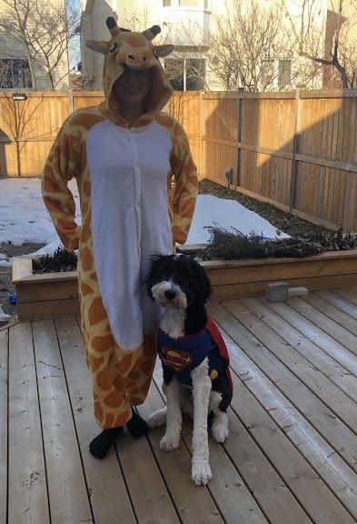 DunningFoubert tweet media