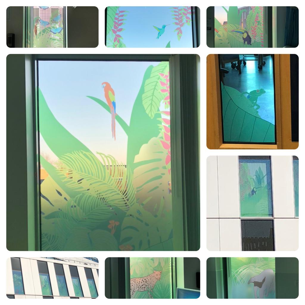 Sharing some beautiful  views of the Newborn Services nursery rooms,  vibrant with phase one of our collaboration with @limearthealth. #prepfordischarge #Environment #FiCare <a href="/PipRanson/">Pip Ranson</a> <a href="/EatonKath/">Kath Eaton</a> <a href="/ngozi_ediosagie/">Professor Ngozi Edi-Osagie</a> <a href="/AlisonODoherty2/">Alison O'Doherty</a> <a href="/ChrisAshworth10/">Chris Ashworth</a> <a href="/mojo38/">Maureen Daniels</a>