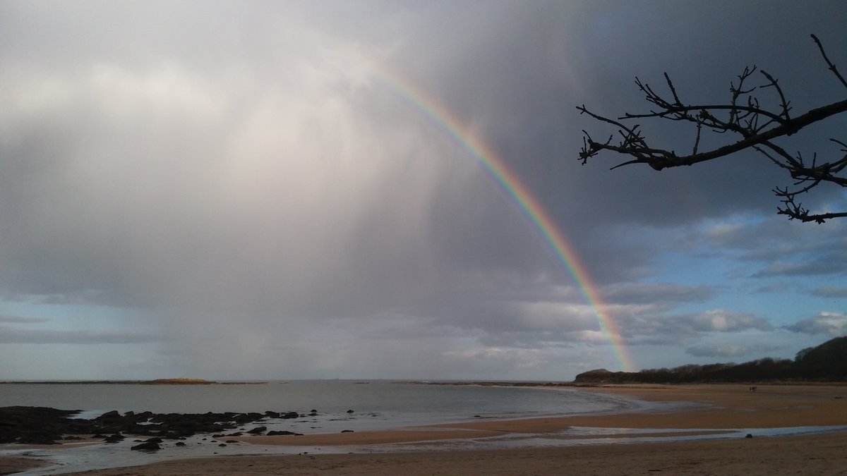 EdinburghJewel's tweet photo. @DCReneRose https://t.co/uOKqqtlHVd