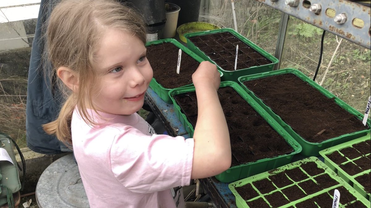 BethBethchaps's tweet photo. @TwynSchool : Emma busy planting veg with Daddy x https://t.co/fRslHkhcAo