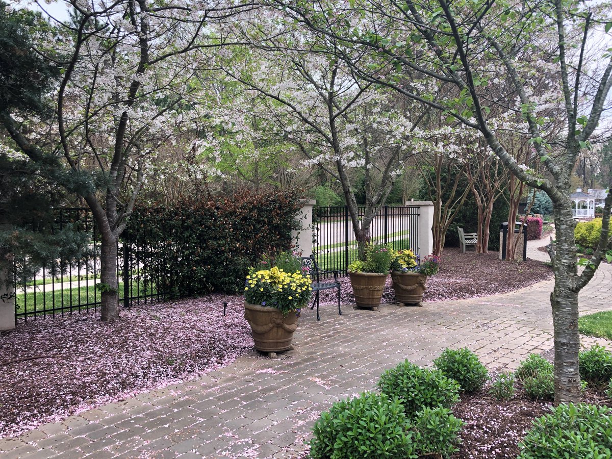 DukeRaleigh's tweet photo. For all those that have missed the spring view from our gardens, here are a few highlights.
#pictureduke #COVID19 https://t.co/AbCpHdWwBw