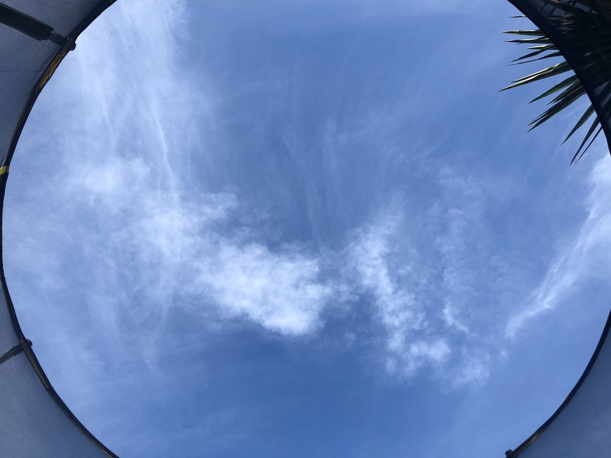AshAshCassidy's tweet photo. @BecWest81 Laying in the kids trampoline looking up, soaking up the sun. Times have slowed and it’s kinda nice. https://t.co/iTyHj06KZz