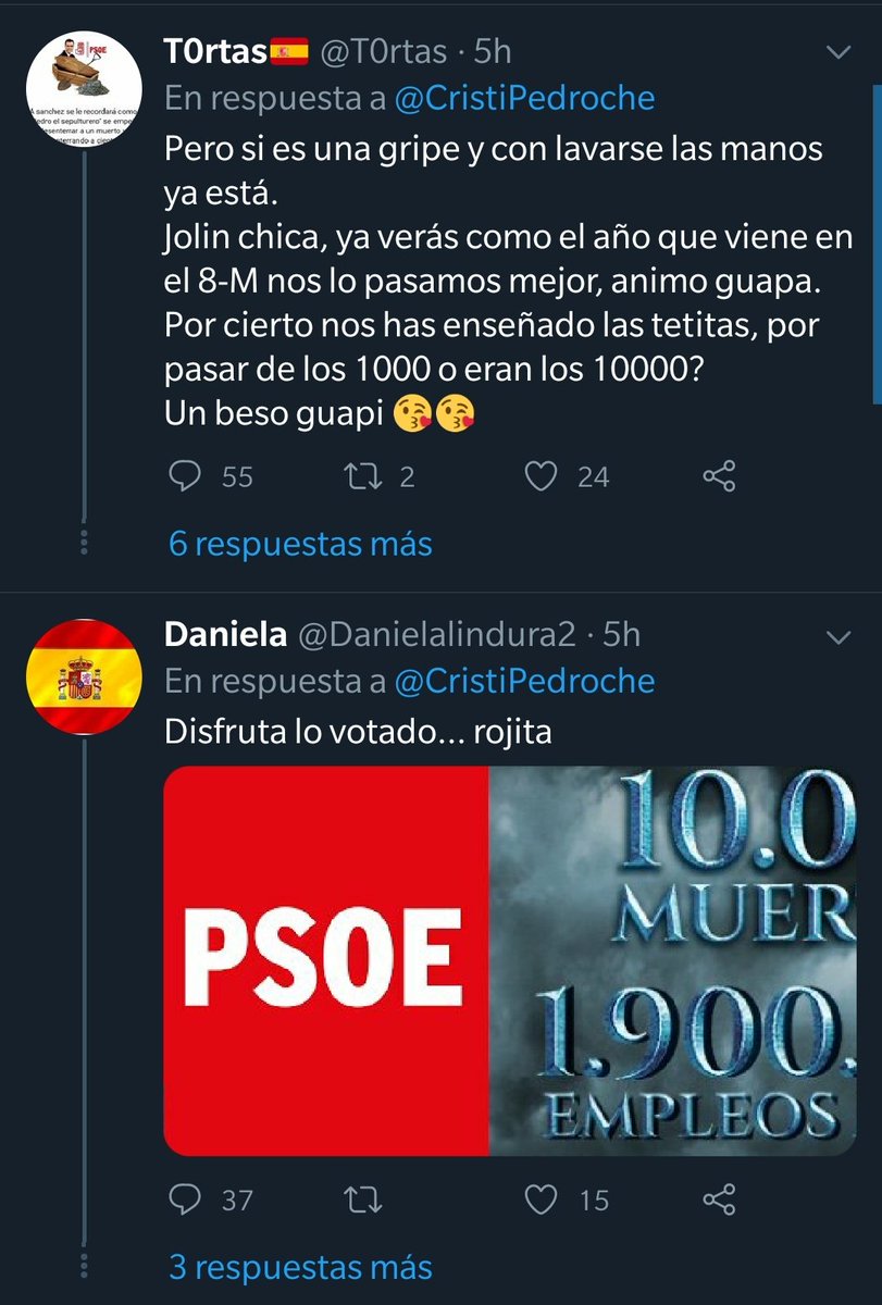 DaviddelosSan's tweet photo. Acaba de morir la abuela de Cristina Pedroche y estos son los comentarios que recibe. La banderita que no falte. Asco https://t.co/qYFYH9CwBX