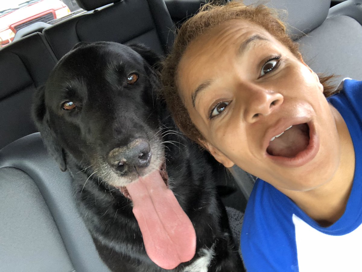 mrsturner41's tweet photo. I swear no animals were harmed while taking these selfies @BrooksideBcats1 #brooksidespirit #sunalwaysshines https://t.co/NWsK4w0Rge