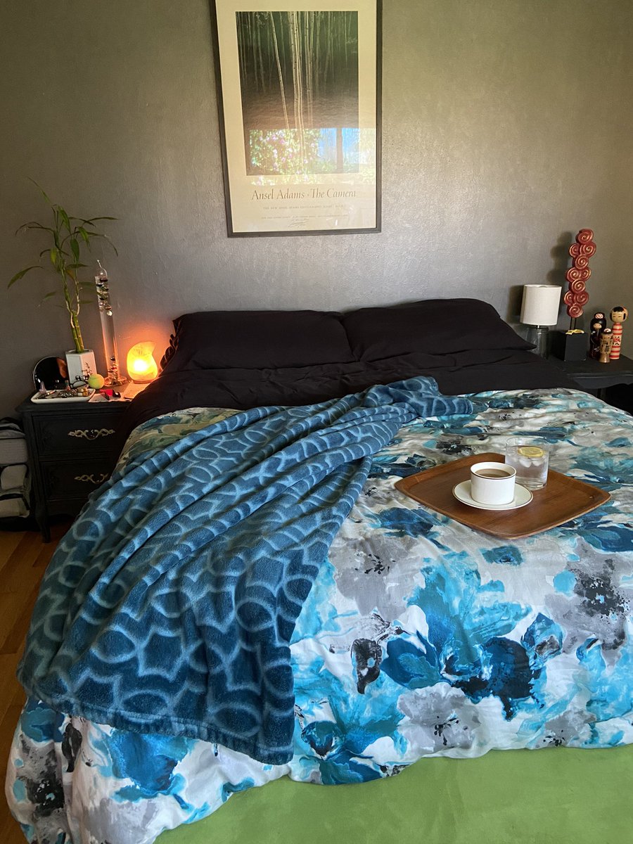 jobeans's tweet photo. I make my bed every day. #SocialDistancing keeping sane one little thing at a time. https://t.co/W6KNbw8avM
