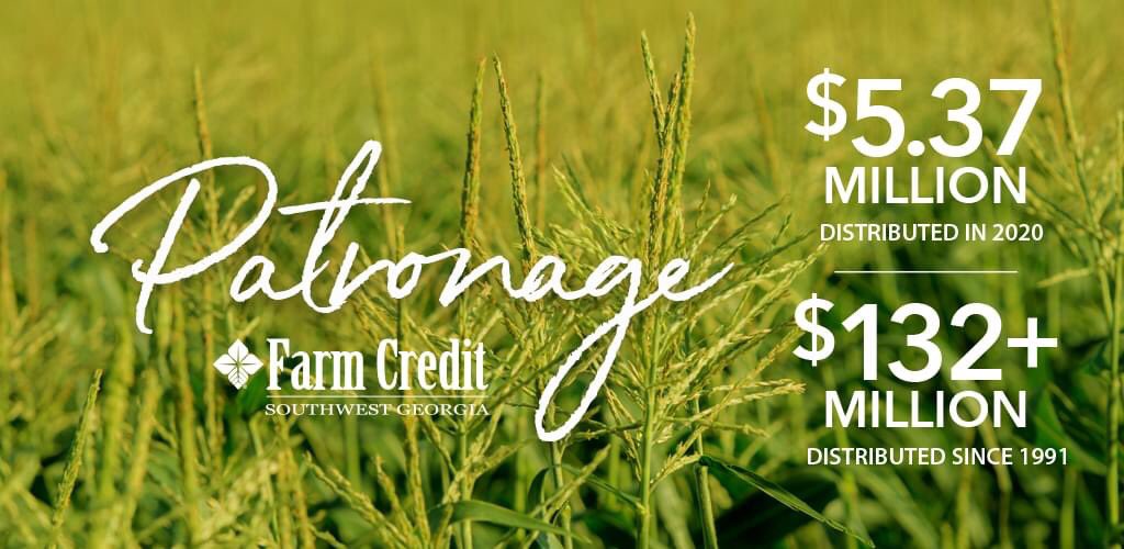SWGAFarmCredit's tweet photo. We know our members appreciate their patronage distributions. And we’re thankful that this money helps all the local economies in small towns around southwest Georgia.
Thanks for being part of the Farm Credit Family.
#SWGAStrong https://t.co/be9ssdn8z7