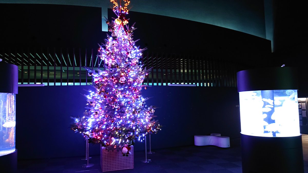 クリスマスシーズン Twitter Search