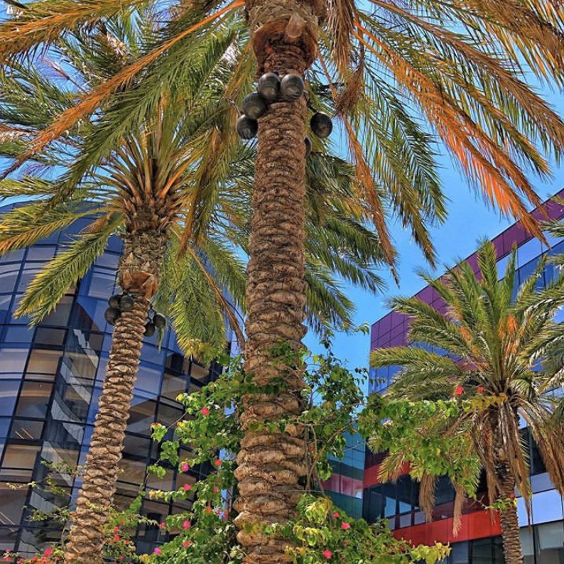 Friendly reminder that we miss you here in #WestHollywood. 🤗 We hope you’re all staying strong and healthy. 💖 📷: @nowandzen619