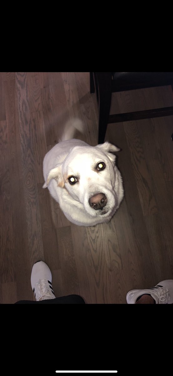 Sigma Pi tweet media