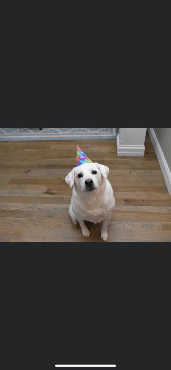 Sigma Pi tweet media