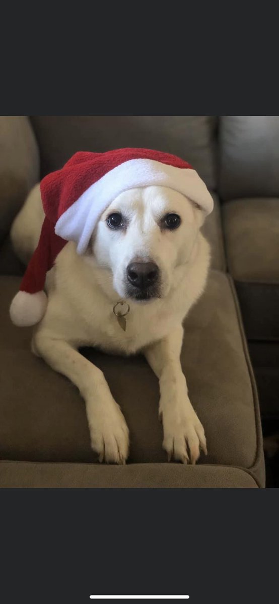 Sigma Pi tweet media