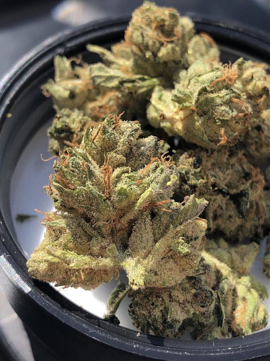 CAMPAIGN tweet media