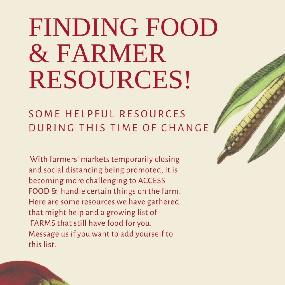 Ulupono's tweet photo. More Farms and Farmers have been added to the Find A Farmer List! #GoFarmhawaii Learn more at https://t.co/kqiNktCkXJ. https://t.co/u4RuqRFgPE
