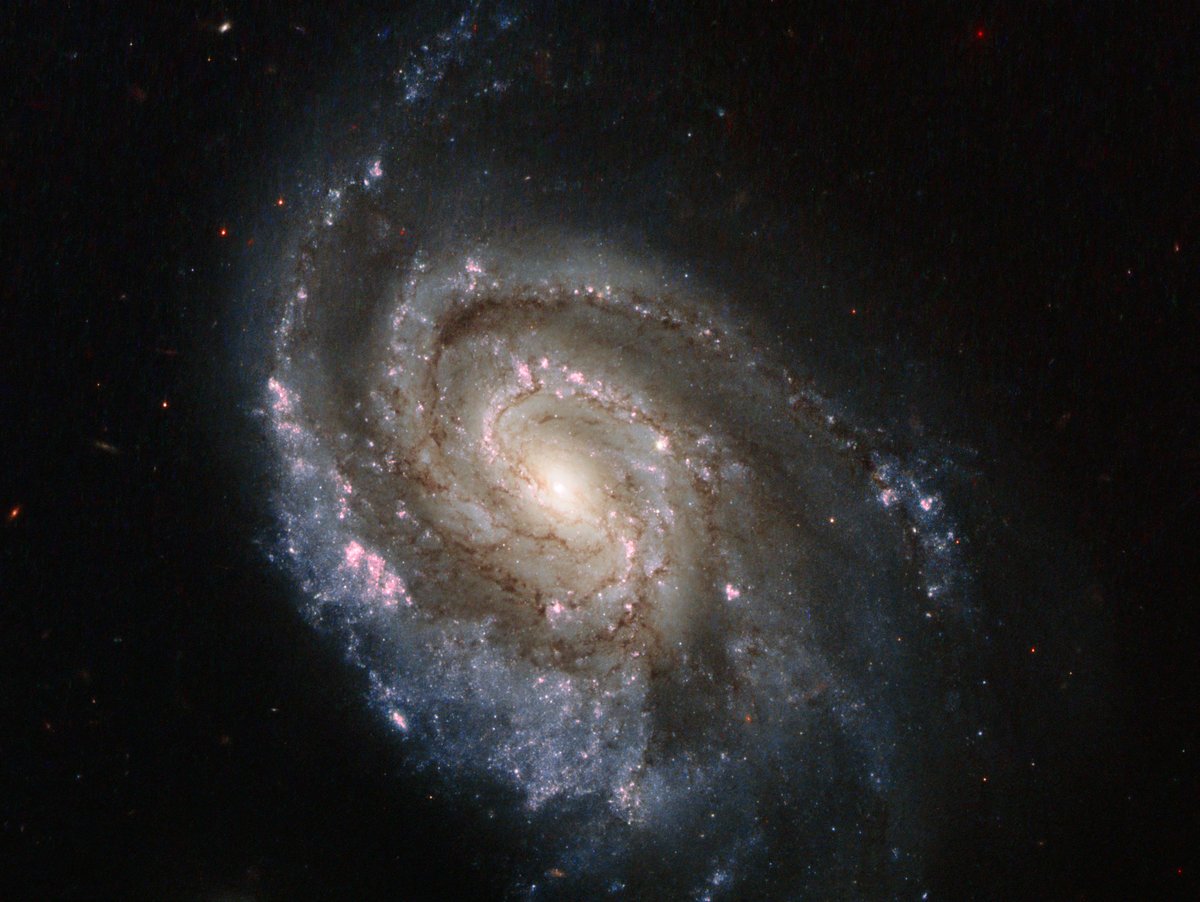 Supernova SN2013ek appeared in spiral galaxy NGC 6984 in 2013, very close to where SN 2012im appeared a year earlier. It's the bright spot just to the right of and a bit above the center of the galaxy.Image: ESA/Hubble & NASA
