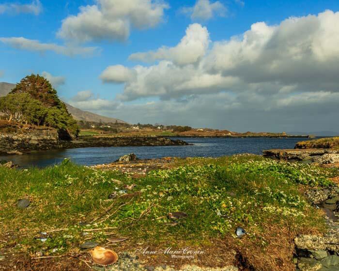 Anne Marie Cronin Photography tweet media