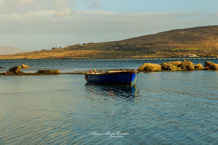 Anne Marie Cronin Photography tweet media