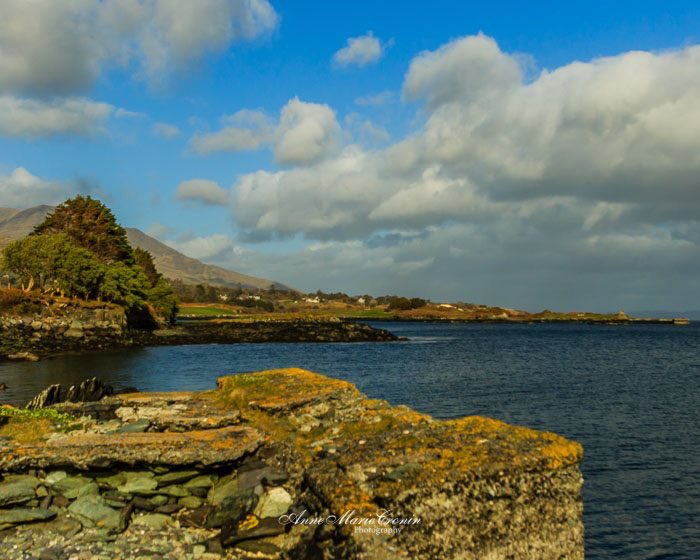 Anne Marie Cronin Photography tweet media