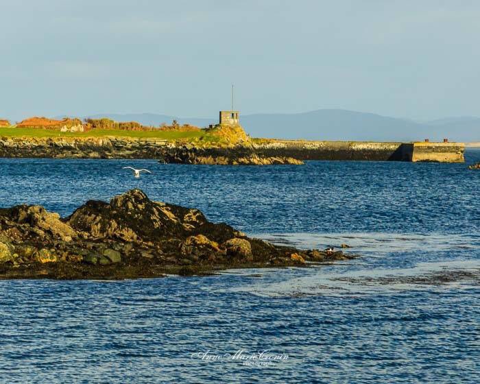 Anne Marie Cronin Photography (@am_cronin) on Twitter photo Day 6 Lockdown There is always something comforting about sitting on the shore and listening to the tide. This is "the Lobster Pond", another childhood haunt, this was somewhere we visited often growing up as it was close to our grandparents house. <a href="/wildatlanticway/">Wild Atlantic Way</a> Day 6 Lockdown There is always something comforting about sitting on the shore and listening to the tide. This is "the Lobster Pond", another childhood haunt, this was somewhere we visited often growing up as it was close to our grandparents house. <a href="/wildatlanticway/">Wild Atlantic Way</a>
