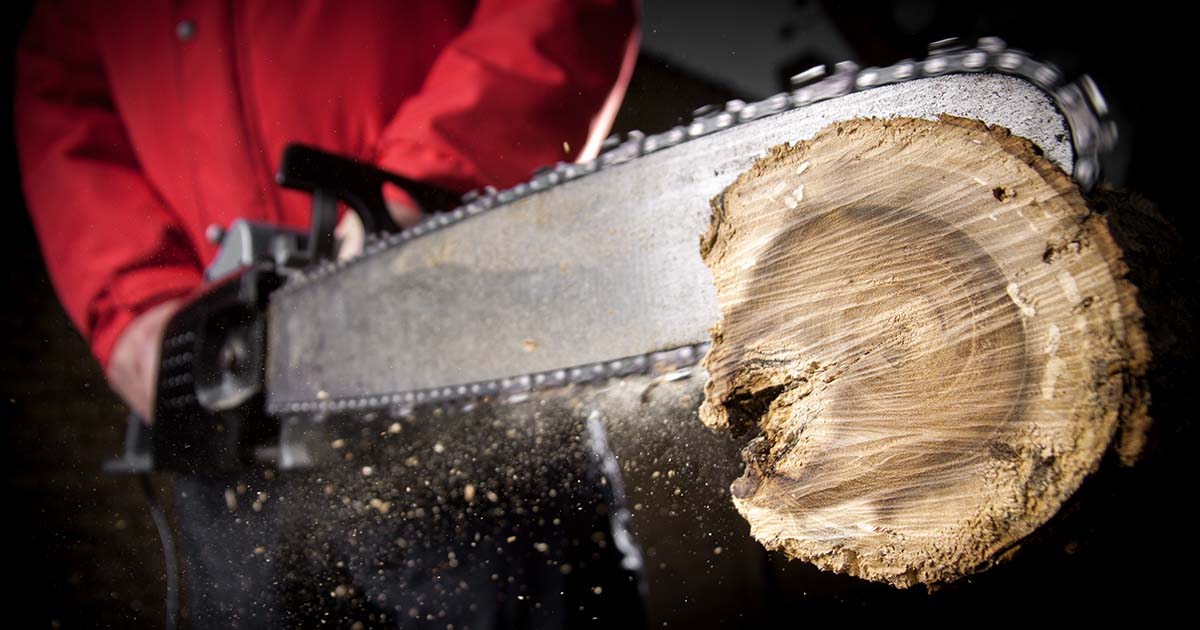 chainsawsdirect's tweet photo. Have you ever tried semi chisel chain on your saw? What about carbide-tipped chain? 

Tell us about your favorite type of chain to use on your saw, and then take a look at this guide to see what else you can upgrade your saw with!

https://t.co/fVIA4UKuUs https://t.co/1kiuGfGBMG