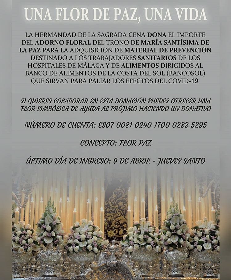 AlbaaRodrigueez's tweet photo. ¡Unidos somos más fuerte!
Me encanta ver como las #hermandades ponen su granito de arena en esta situación de #CrisisSanitaria
De todas, me quedo con el #mensaje de la @HdadSagradaCena
UNA FLOR DE PAZ, UNA VIDA 💐
#cofradeencasa #OrgulloCofrade #CofradiasMLG https://t.co/Lsza5iHNUP