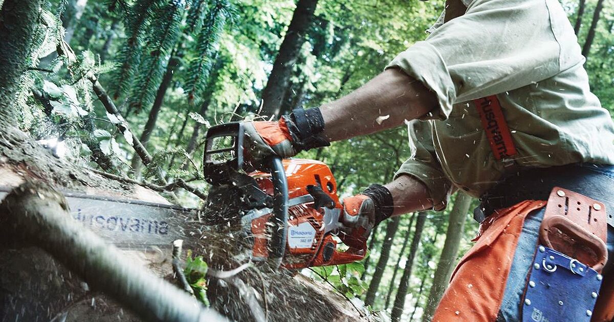chainsawsdirect's tweet photo. Which kind of gas chainsaw is right for you? A homeowner saw, a professional saw, or something in between?

Our Gas Chainsaw Buyer’s Guide will help you learn the differences and make the right choice!

https://t.co/cx2zKXVWvX https://t.co/7NnnPUnsyd