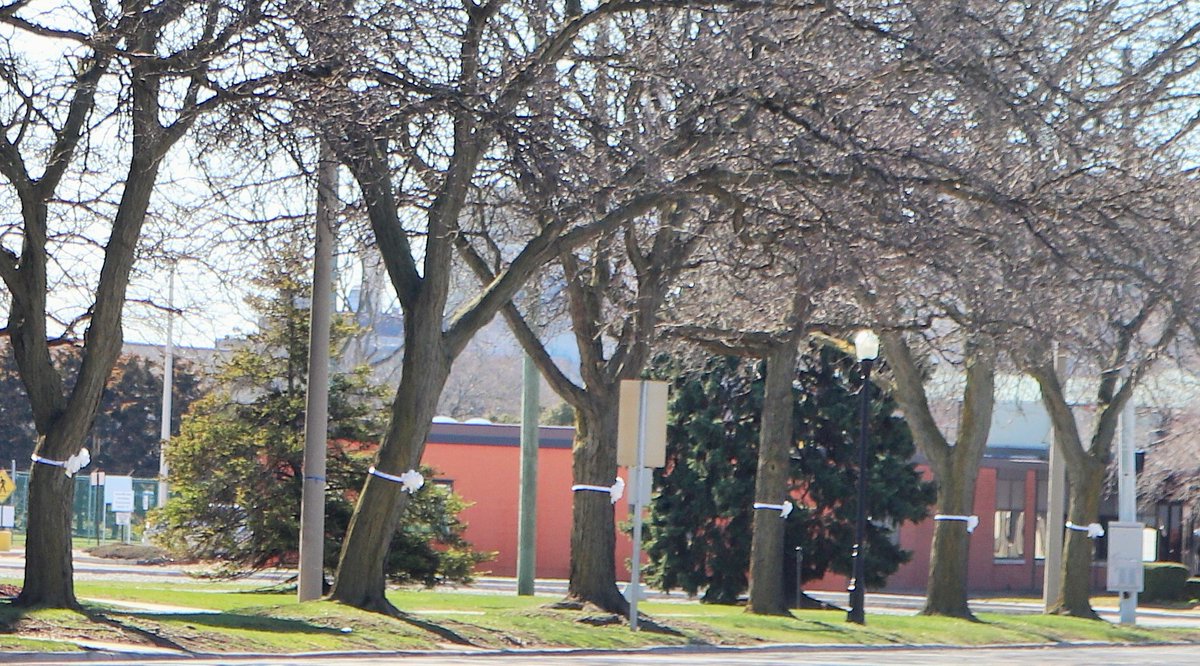 BASF Michigan tweet media