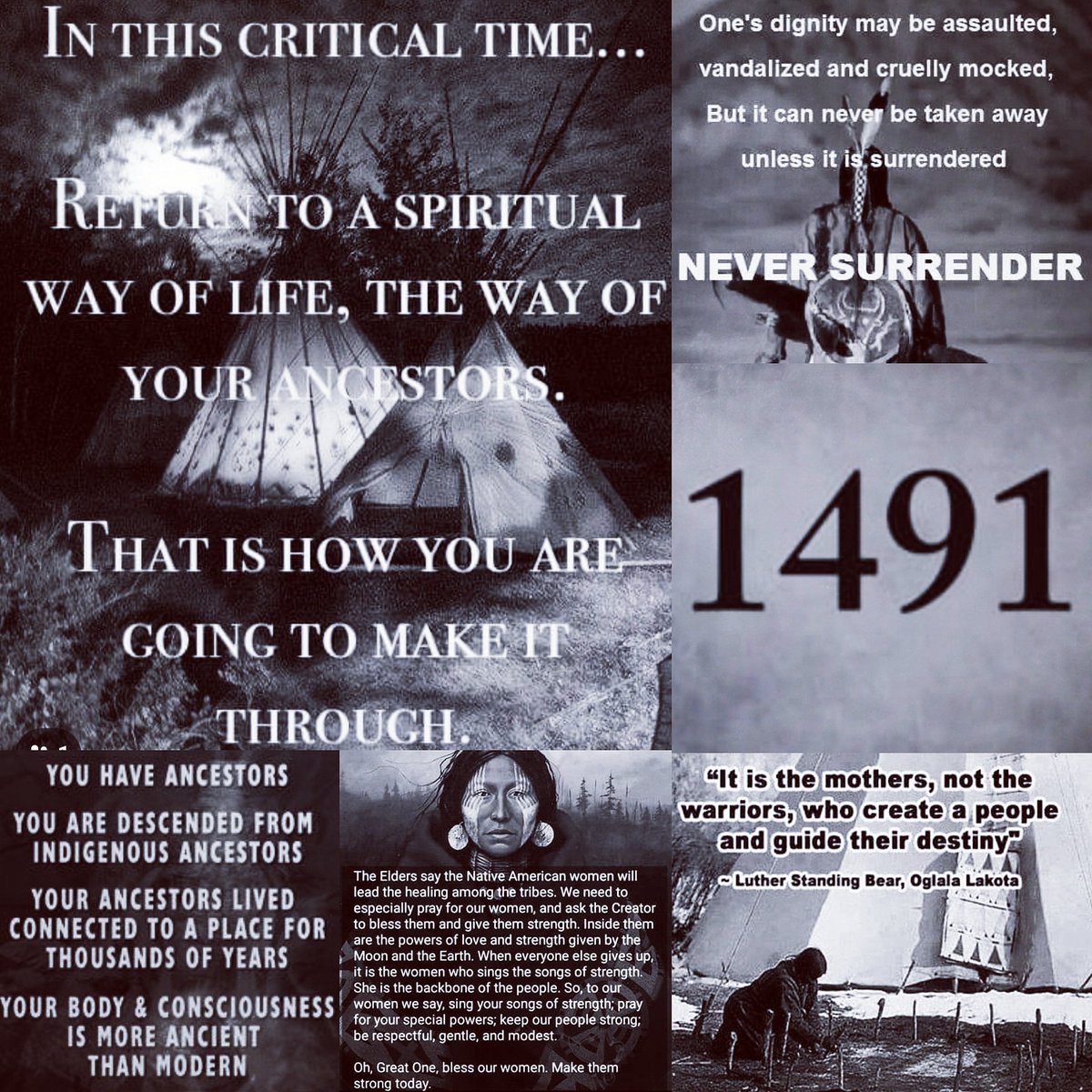 realgeraldauger's tweet photo. We are the answered prayers of our ancestors. We are the ones they have been waiting for. #Creator #spiritualawakening #surrender #ourmotherearth #sevensacredteachings #ourwomen #sacredbeings #ourchildren #healing #indigenousthought #culture #language #indigenousancestors #1491 https://t.co/7O820pv1LD