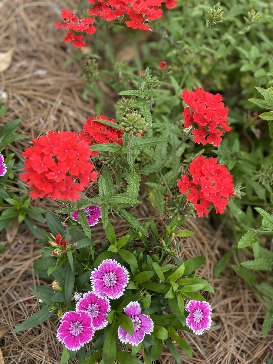 ☺️