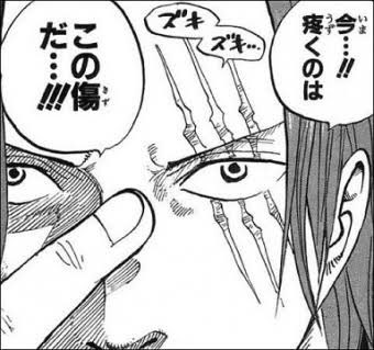 じょう 黒ひげリリィ これみよがしに鉤爪つけてるけどコレの事かぁ