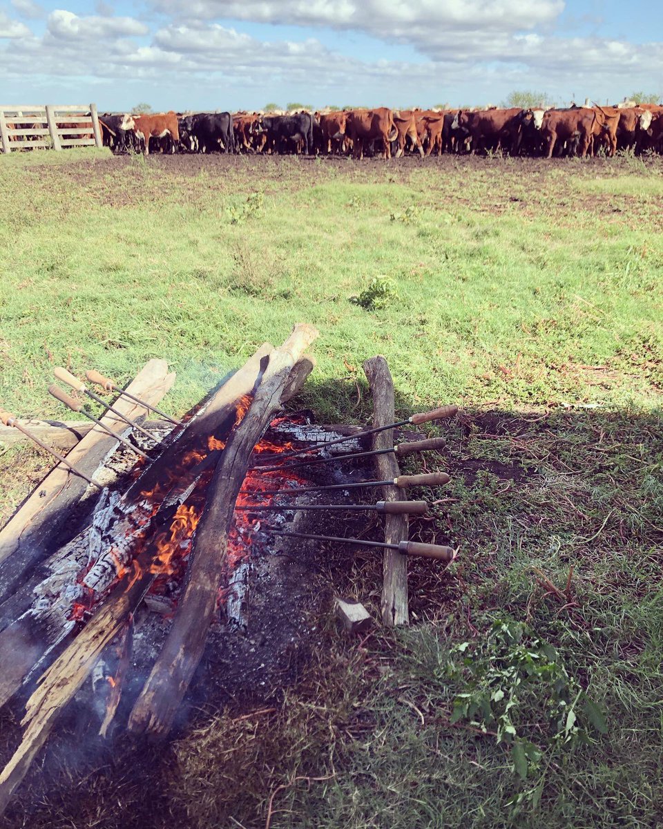 agrocapital_uy's tweet photo. Porque nosotros no podemos parar 🌱🐂seguimos revisando lotes de nuestros inversores ... Es tiempo de oportunidades, súmate a #laopciongenuina https://t.co/5NEATGQOOl