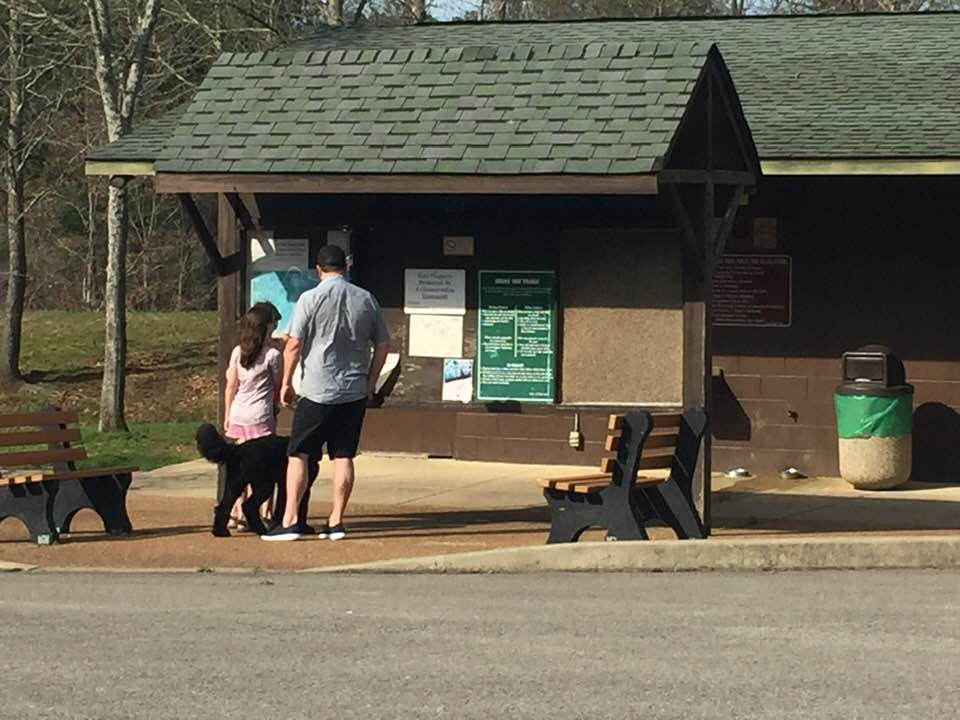 nancyintheview's tweet photo. FAIRVIEW CLOSES ALL CITY PARKS
Pursuant to Gov. Bill Lee’s statewide “Stay at Home” executive order issued Thursday, the City of Fairview has announced all city parks, including Bowie Nature Park and Veterans Park, will be closed until the order implemented by Gov. Lee is lifted. https://t.co/qfPh04YlK0