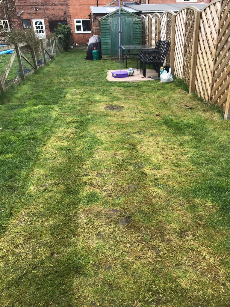 McquakerAndy's tweet photo. Day 1 pitch for home schooling PE will it play better on day 2 @MichaelVaughan @BumbleCricket #greentop #cricketlessons https://t.co/TbOMRfFlrs
