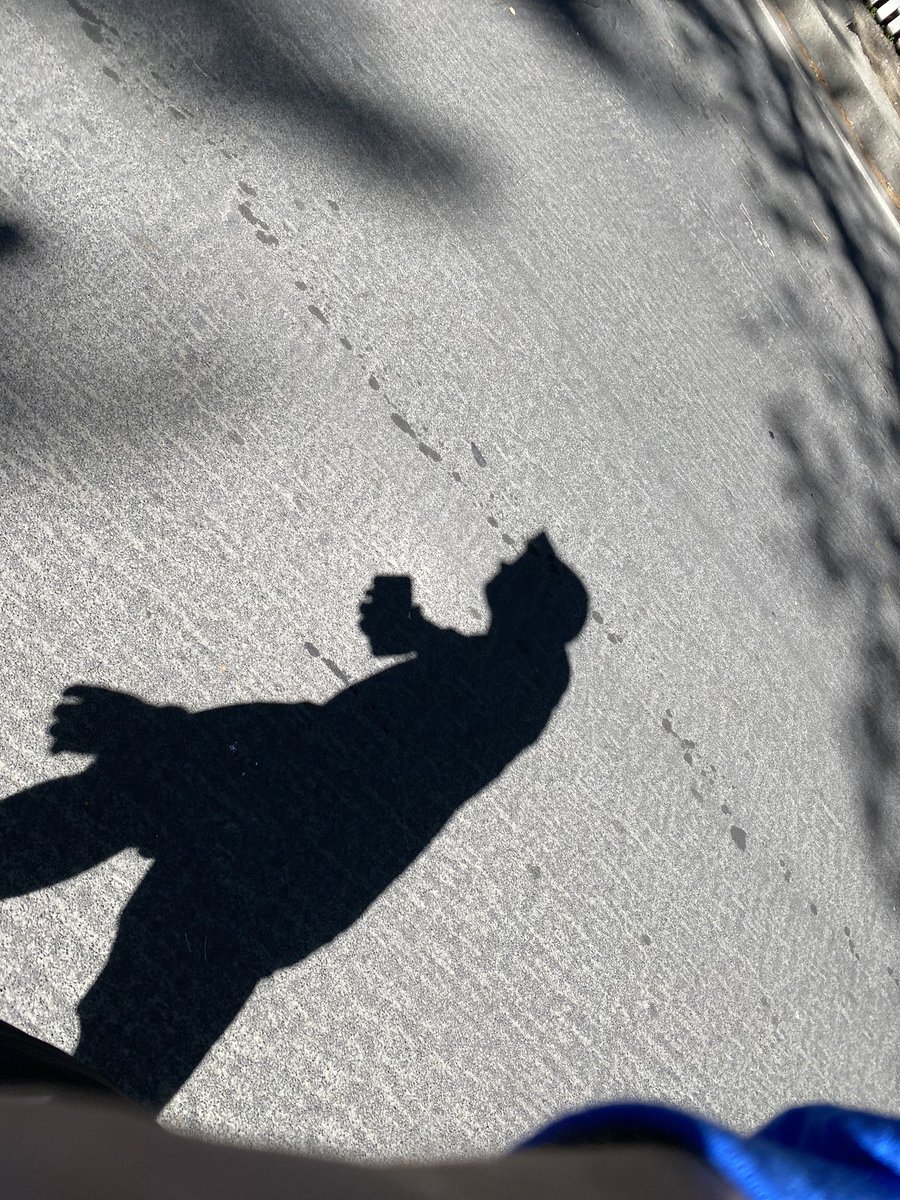 Please enjoy this candid photo my phone took while I was dancing (alone) to @JackGarratt ‘s “Time” in the middle of the street today.