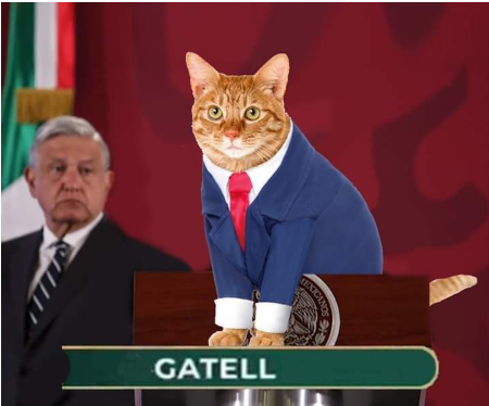 Grismiau's tweet photo. @Carolsadlac0201 Yo menos.... https://t.co/atS7vT7AoQ