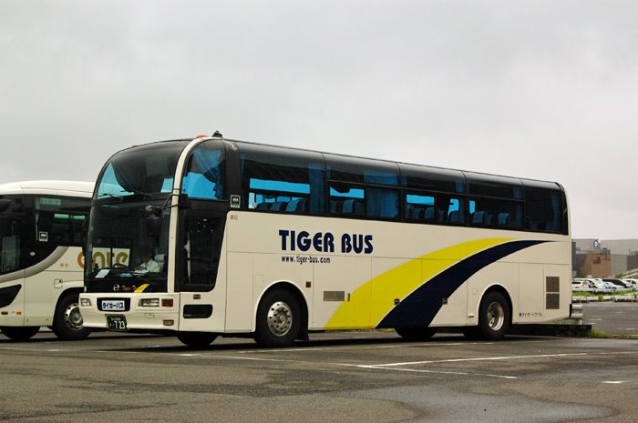 Almera Tino Twitter पर 奈良観光バスさんの特注車 日野kc Ru4fscb タイガートラベルさんの写真は約10年前に東京都内で撮影させて頂いたものです T Co Kqwmnlikeb Twitter