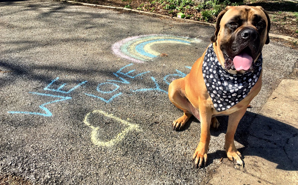 LarraOverton's tweet photo. Seeing this message in our @broad_ripple neighborhood brought a smile during our walk today. Tugboat is sending love your way! #EnglishMastiff #MastiffsOfTwitter https://t.co/JkvrruVz8L