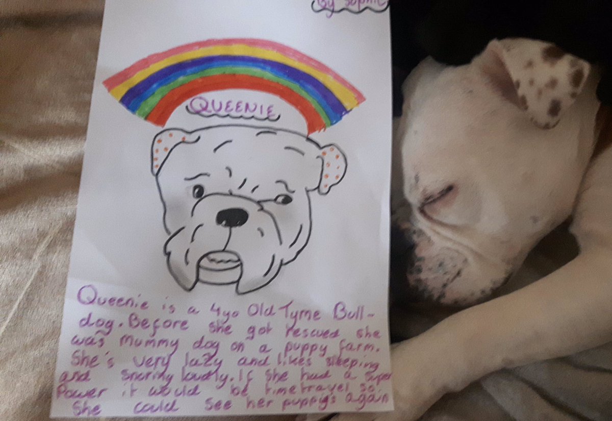 #RainbowsForNightingale #WillowsPetPawtraits