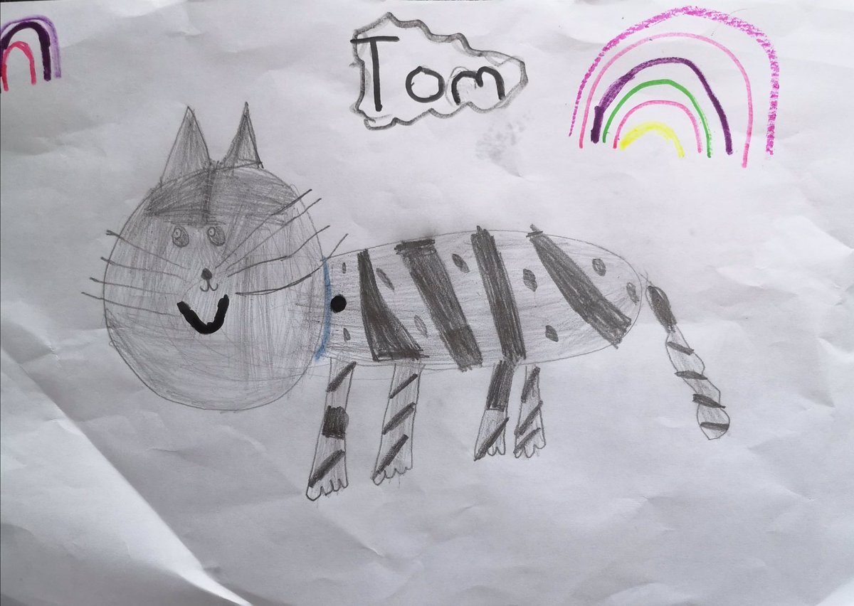 WillowsCats's tweet photo. #RainbowsForNightingale #WillowsPetPawtraits https://t.co/Gi1awUxmA6