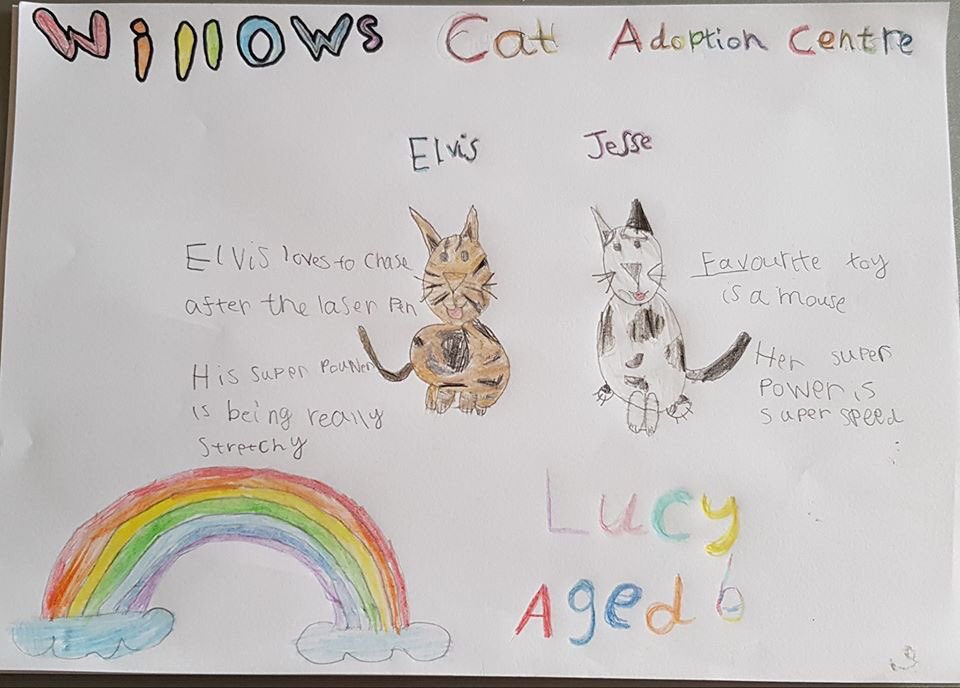 WillowsCats's tweet photo. #RainbowsForNightingale #WillowsPetPawtraits https://t.co/JytbtlAcyq