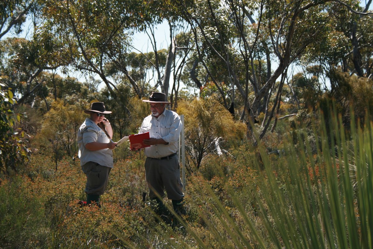 EPLandscapeSA's tweet photo. Did you know we have 350 vegetation survey sites across the #EP? All part of a long term biodiversity program. Quick health check up with the nature doctor for the environment. Visit https://t.co/t9iAcCmBU7
#10YearsApart #VegetationMonitoring #EyrePeninsula #Plants #Biodiversity https://t.co/jHhqNFBigU