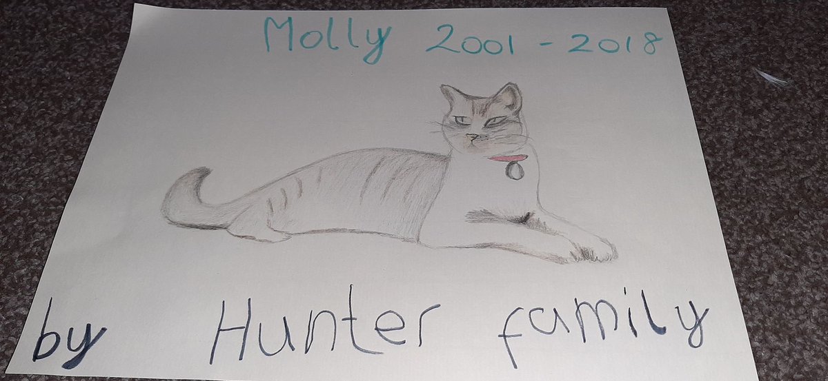 WillowsCats's tweet photo. #RainbowsForNightingale #WillowsPetPawtraits https://t.co/OjeVK3lHHY
